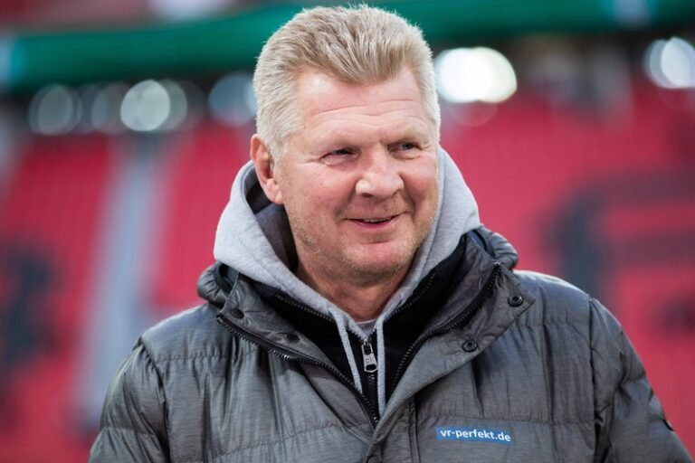 stefan effenberg vermögen